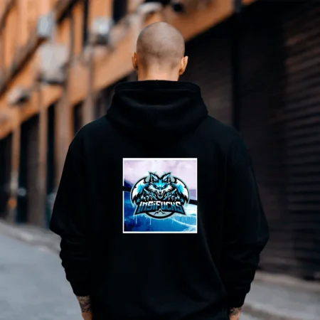 Insifuchs Hoodie Iceworld – Streamer Merch & Streetwear